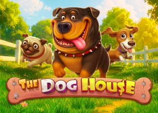 tongk168 The Dog House